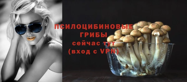 ешки Алзамай