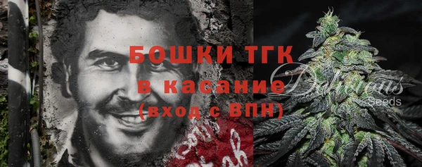 мет Алексин
