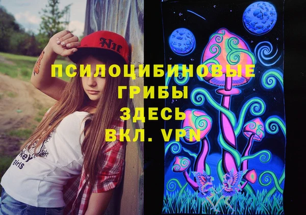 мет Алексин