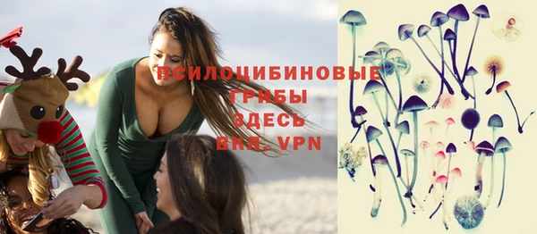 ешки Алзамай