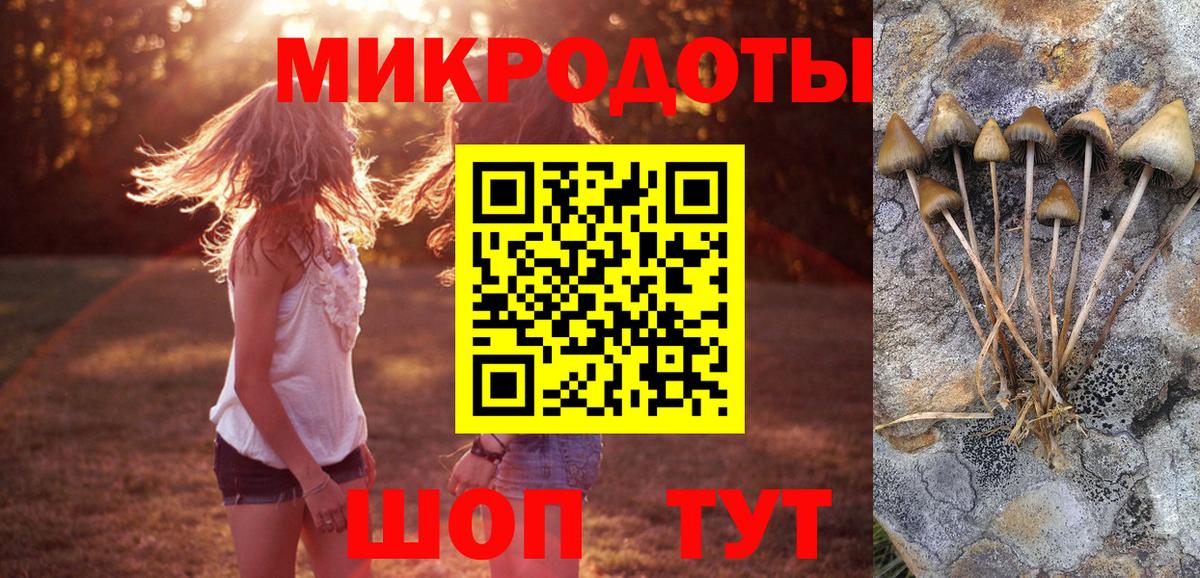 Галлюциногенные грибы прущие грибы  Вход с VPN  Магадан 