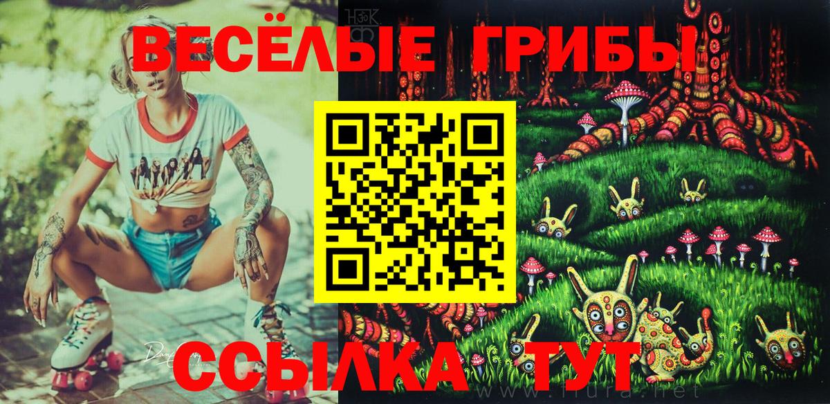 Псилоцибиновые грибы Psilocybe Магадан